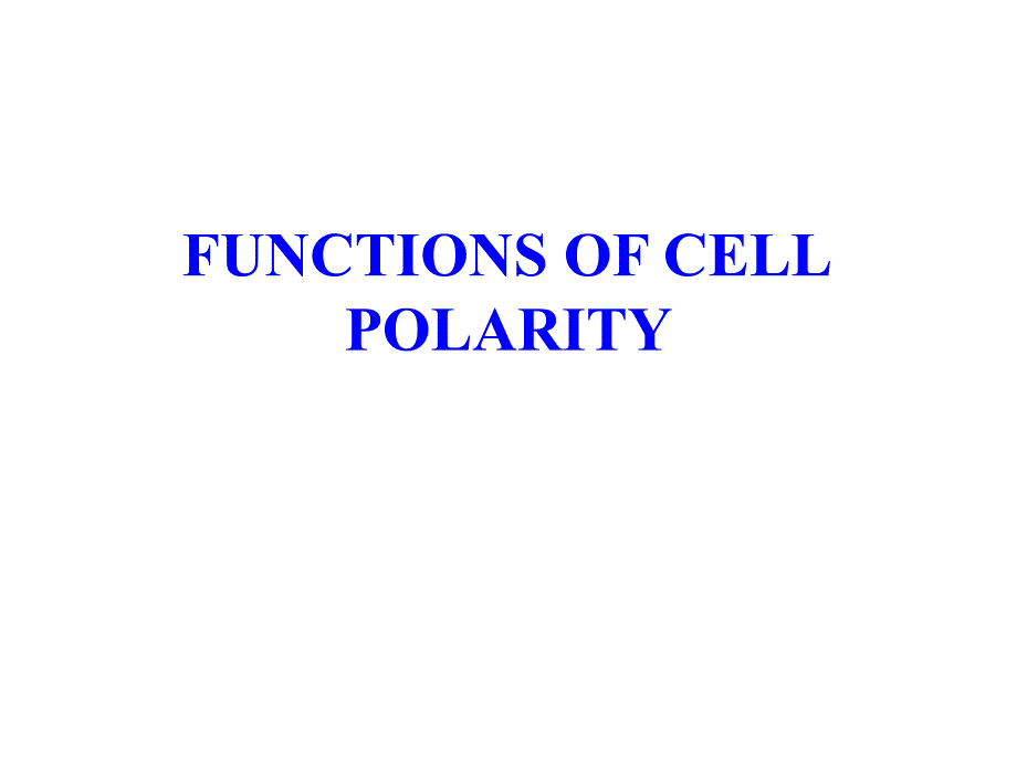 植物生理与分子生物学：Lecture 1 Basics and apical polarity_第4页