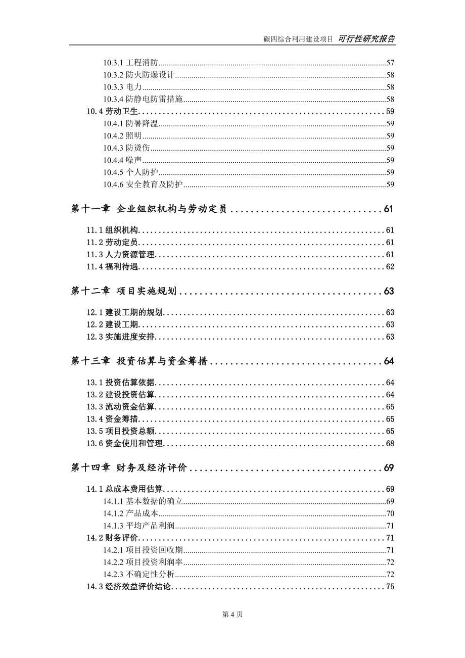 碳四综合利用建设项目可行性研究报告-可修改模板案例_第5页