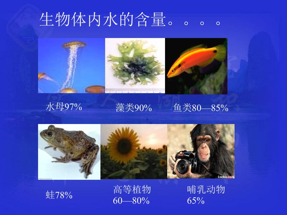 第一章第二节组成生物体的化合物_第4页