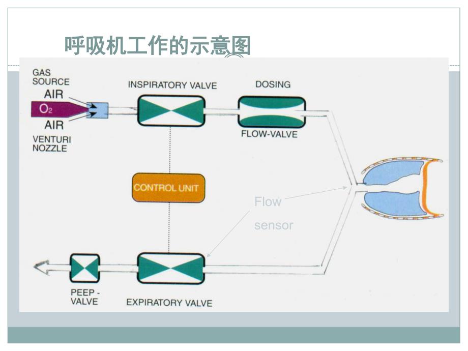 机械通气波形分析课件_第2页