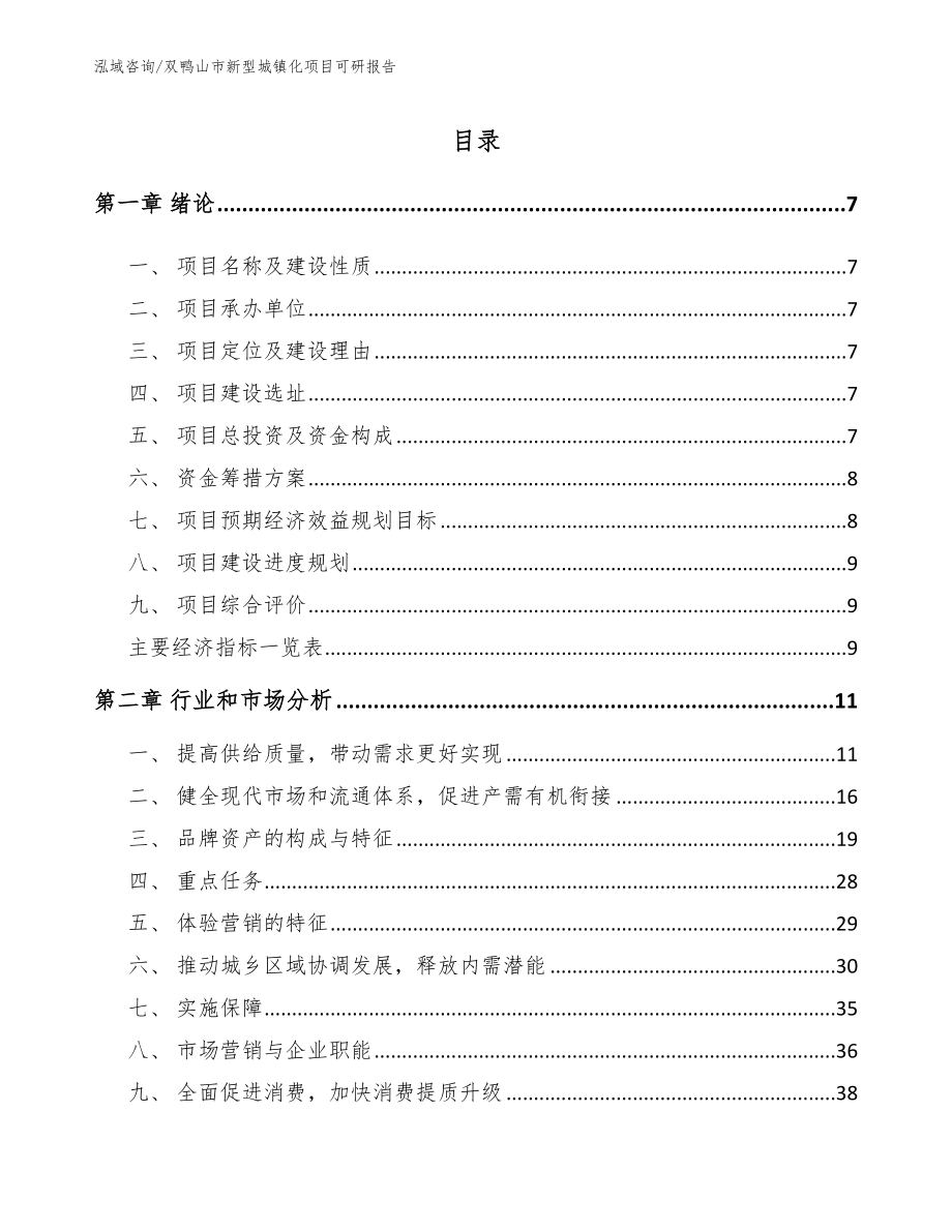 双鸭山市新型城镇化项目可研报告_第2页