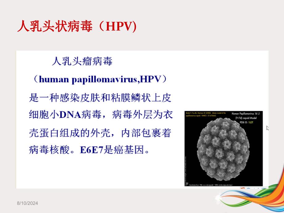 宫颈锥切术后切缘阳性的临床处理_第2页