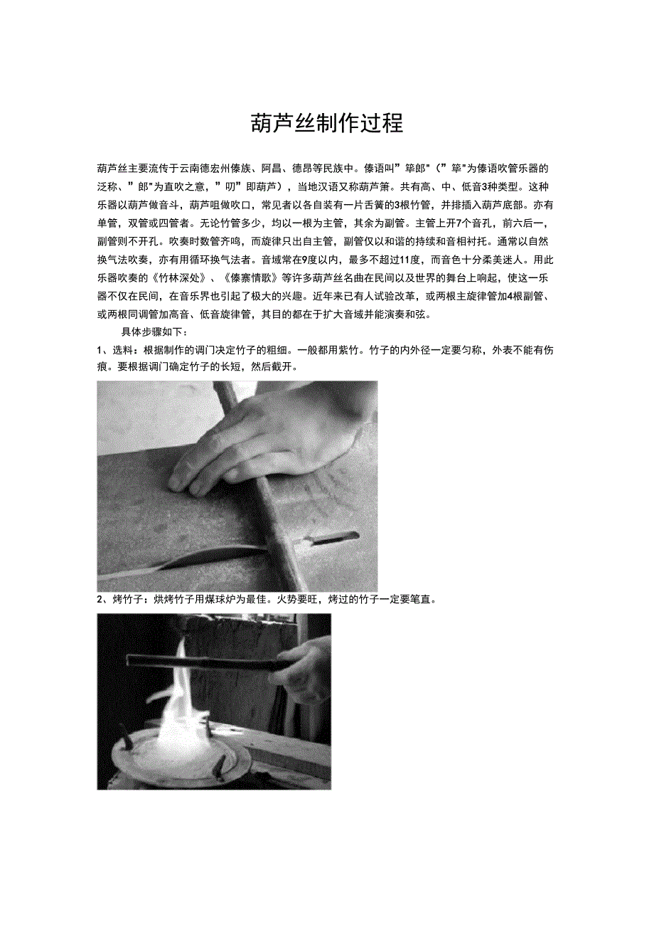 葫芦丝的制作过程_第1页