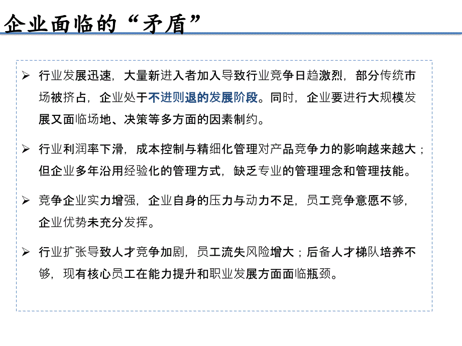 X公司-管理咨询项目建议书课件_第4页