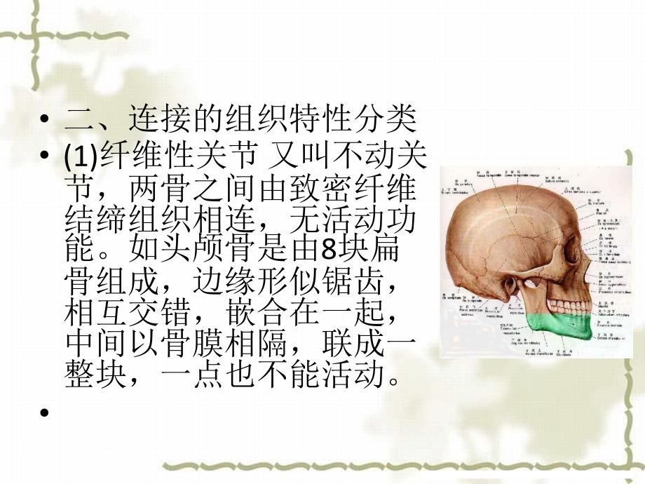 《关节基本知识》课件_第4页