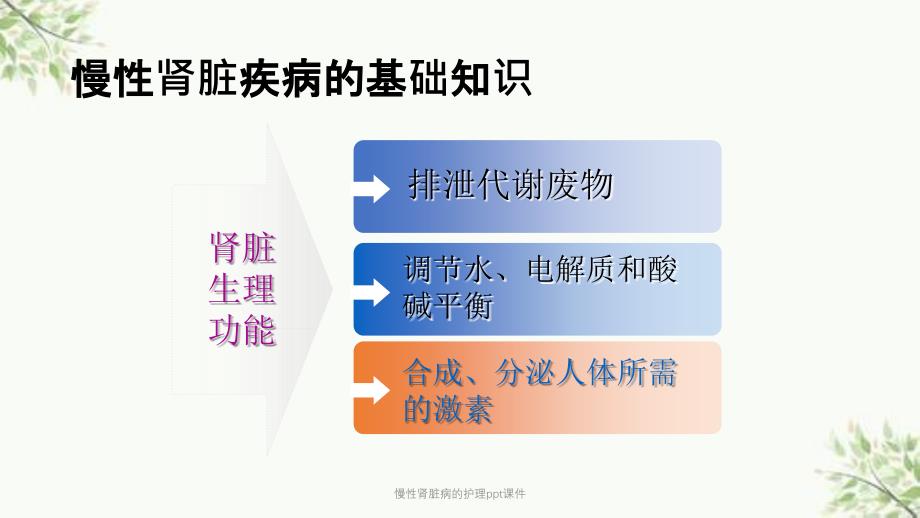 慢性肾脏病的护理ppt课件课件_第4页