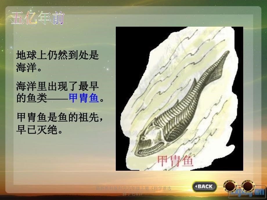 最新教科版科学六年级上册科学谁选择了它们_第5页