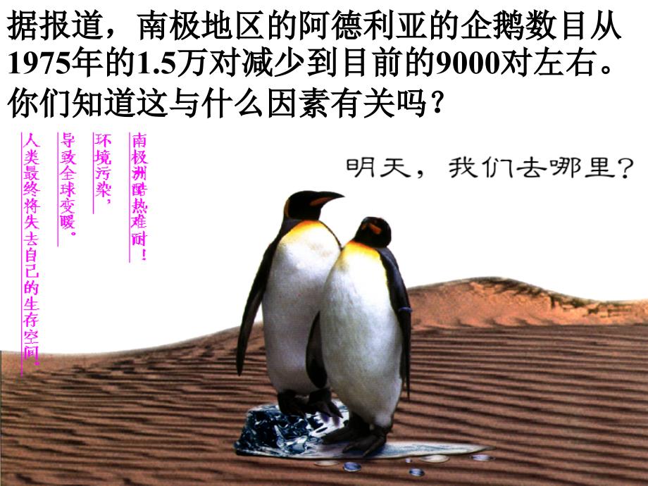 班级全球气候变化(完成).ppt_第4页