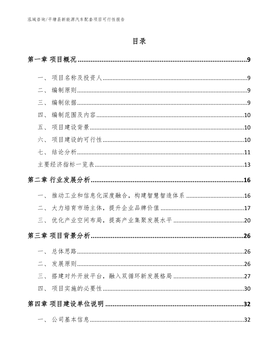 平塘县新能源汽车配套项目可行性报告模板_第2页