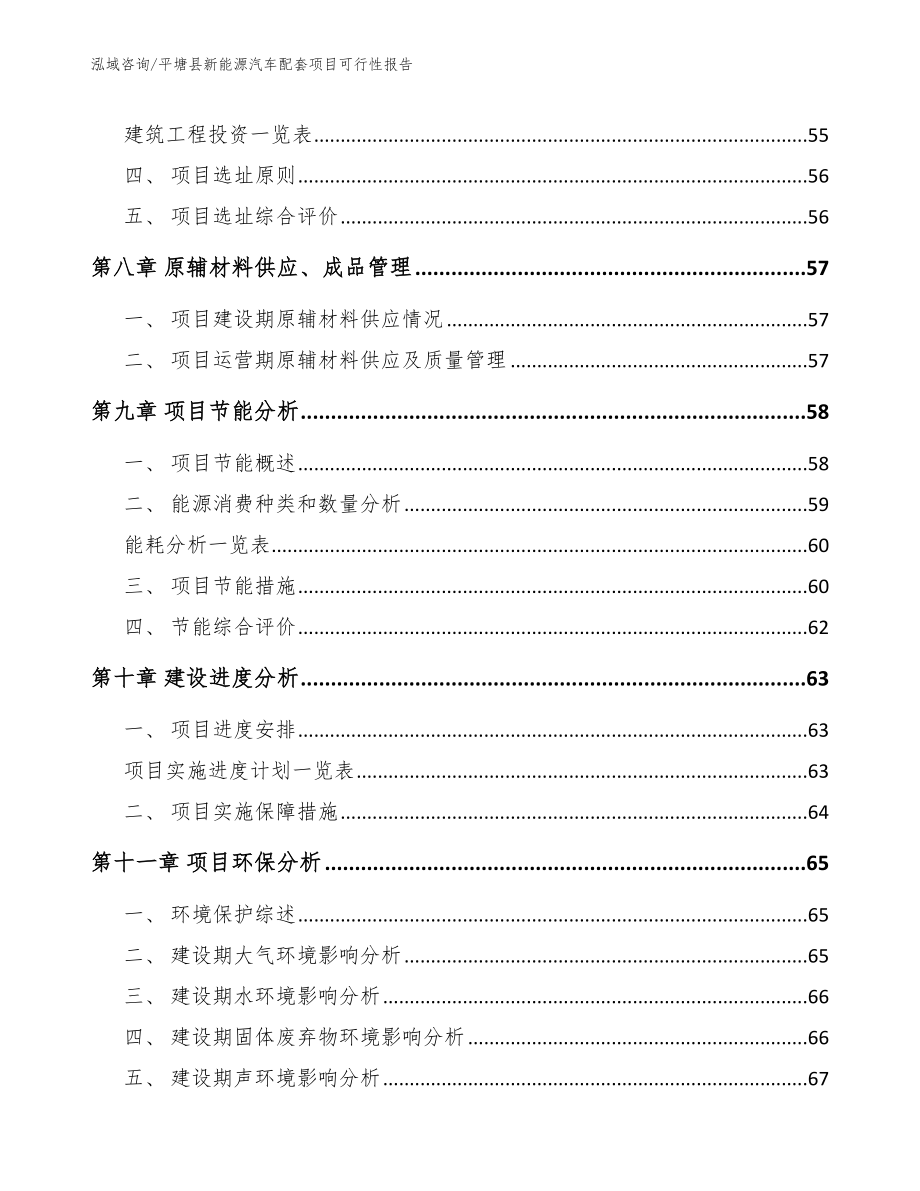 平塘县新能源汽车配套项目可行性报告模板_第4页