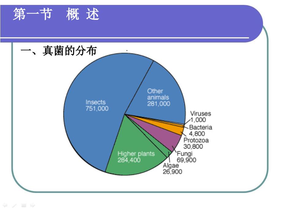 真核微生物的形态结构与功能_第3页