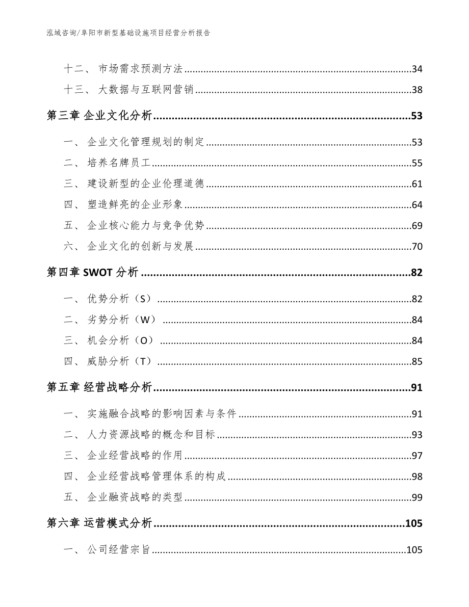 阜阳市新型基础设施项目经营分析报告_范文参考_第2页