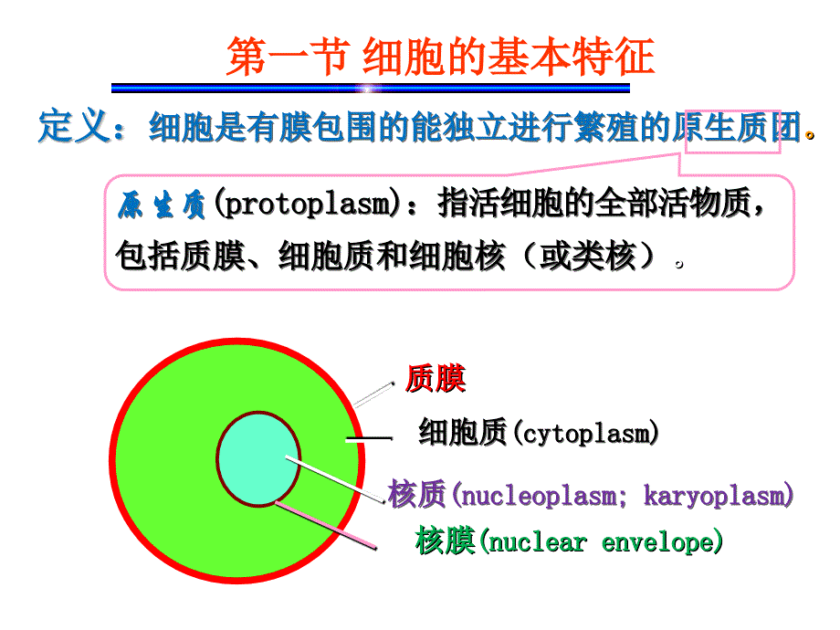 细胞的统一性与多样性课件_第2页