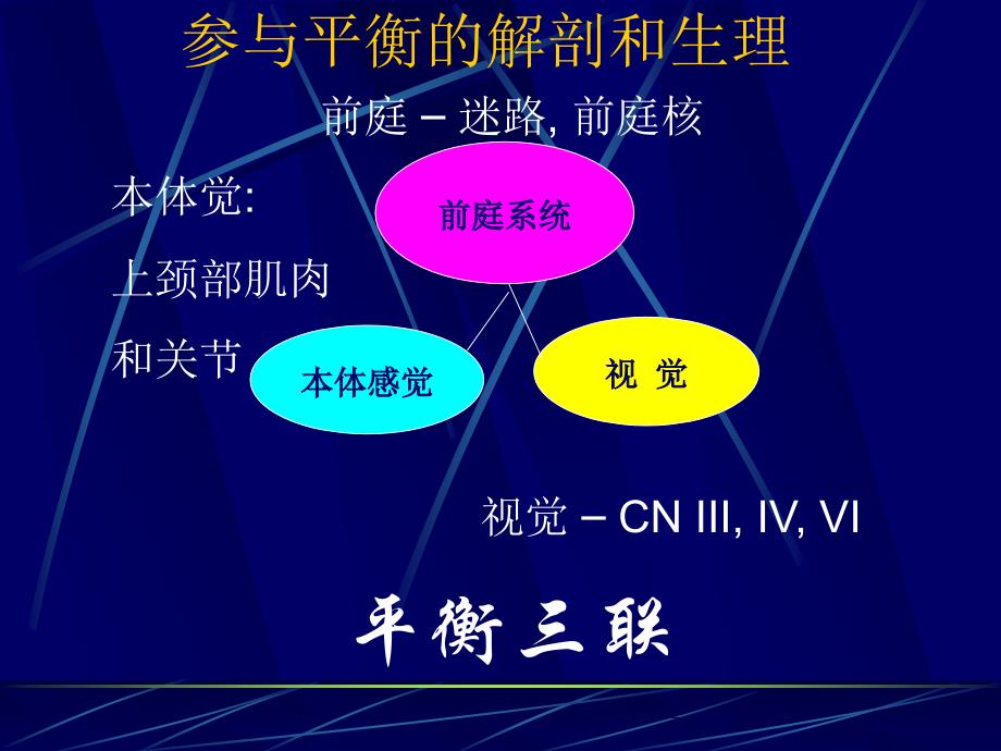 眩晕的诊断思路ppt课件_第3页