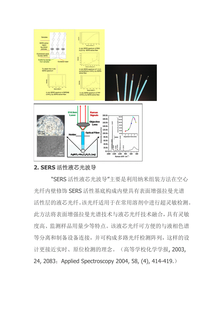 光纤光谱传感器.doc_第2页