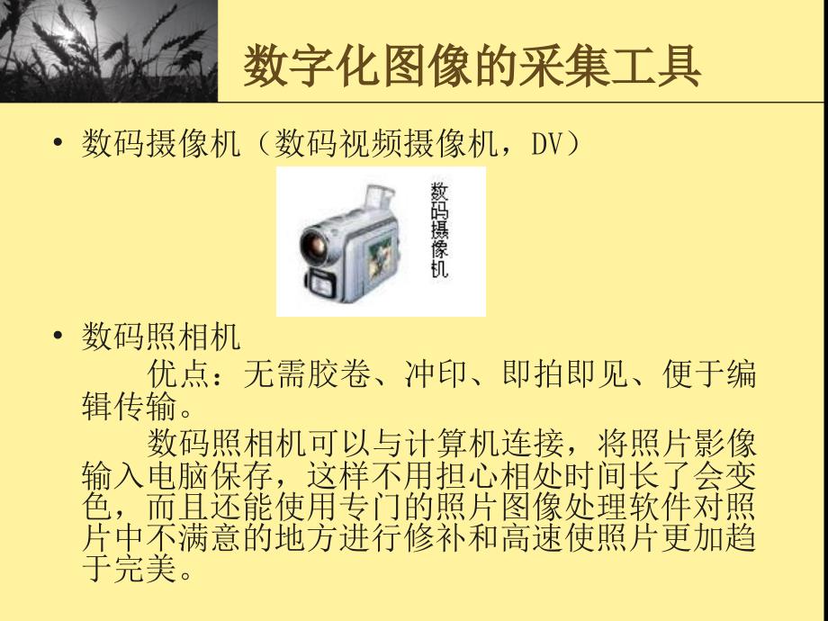 513数字化图像的采集与加工_第3页