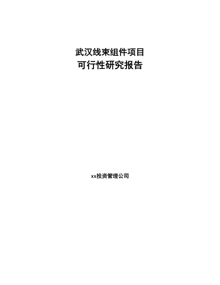 武汉线束组件项目可行性研究报告(DOC 58页)