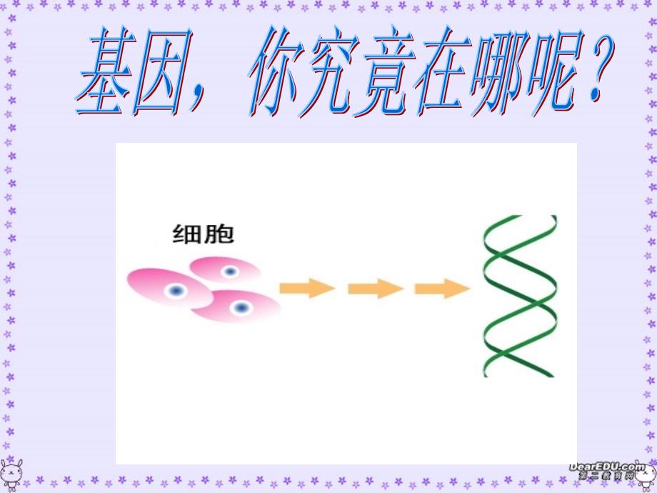 高一生物基因在染色体上上课_第2页