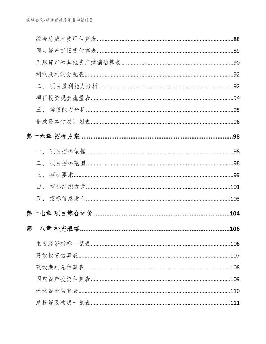 铜陵新基建项目申请报告_范文参考_第5页