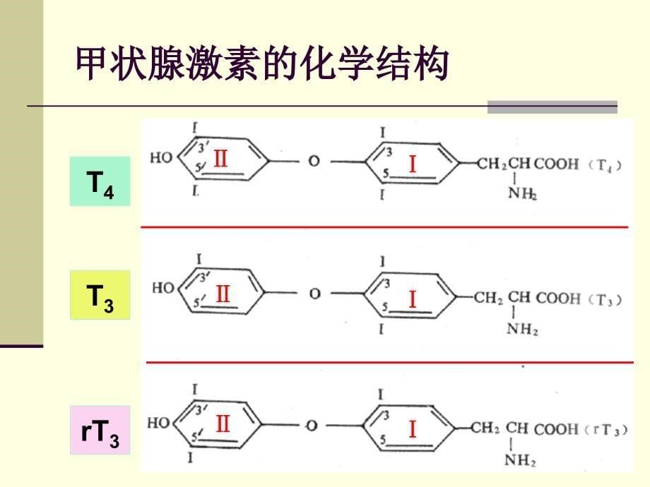 3637甲状腺胰岛素_第5页