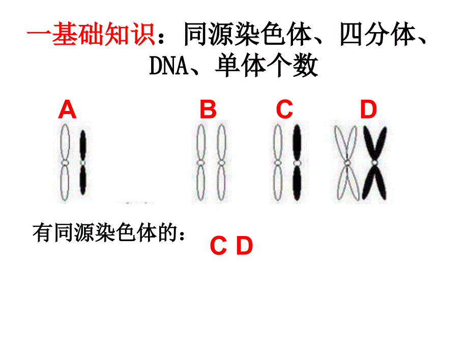 期末复习减数分裂_第2页