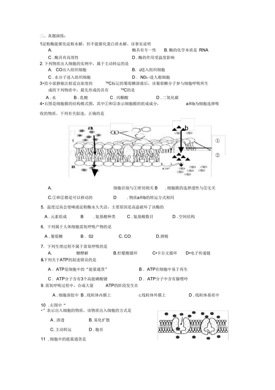 第三章细胞的代谢_第4页