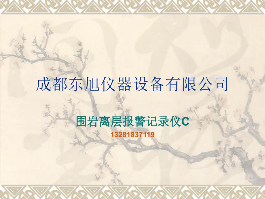 围岩离层记录仪C_第2页