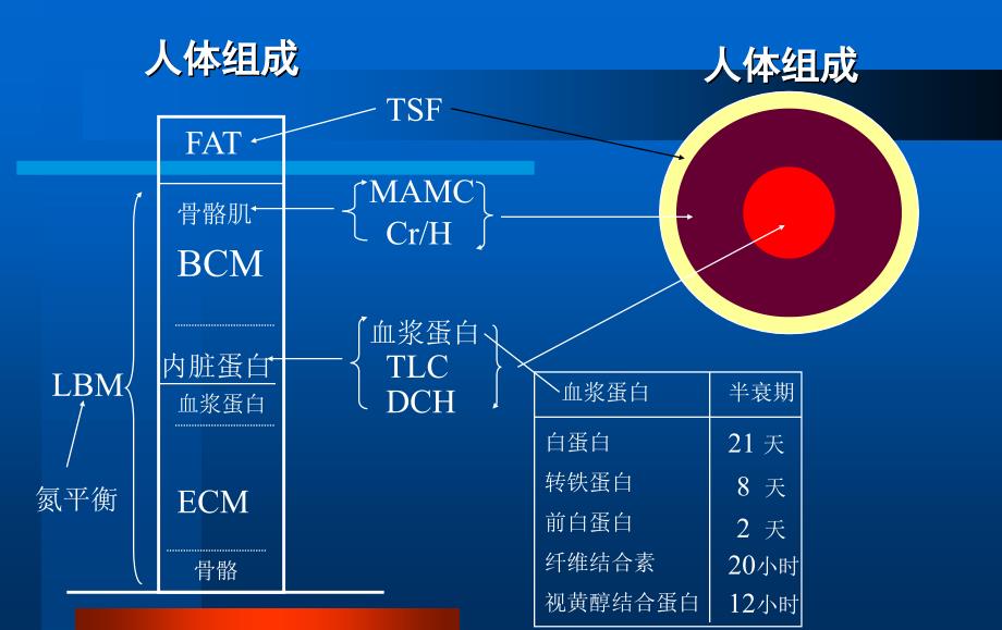 广东省人民医院危急重症学习班讲稿营养支持文档资料_第1页