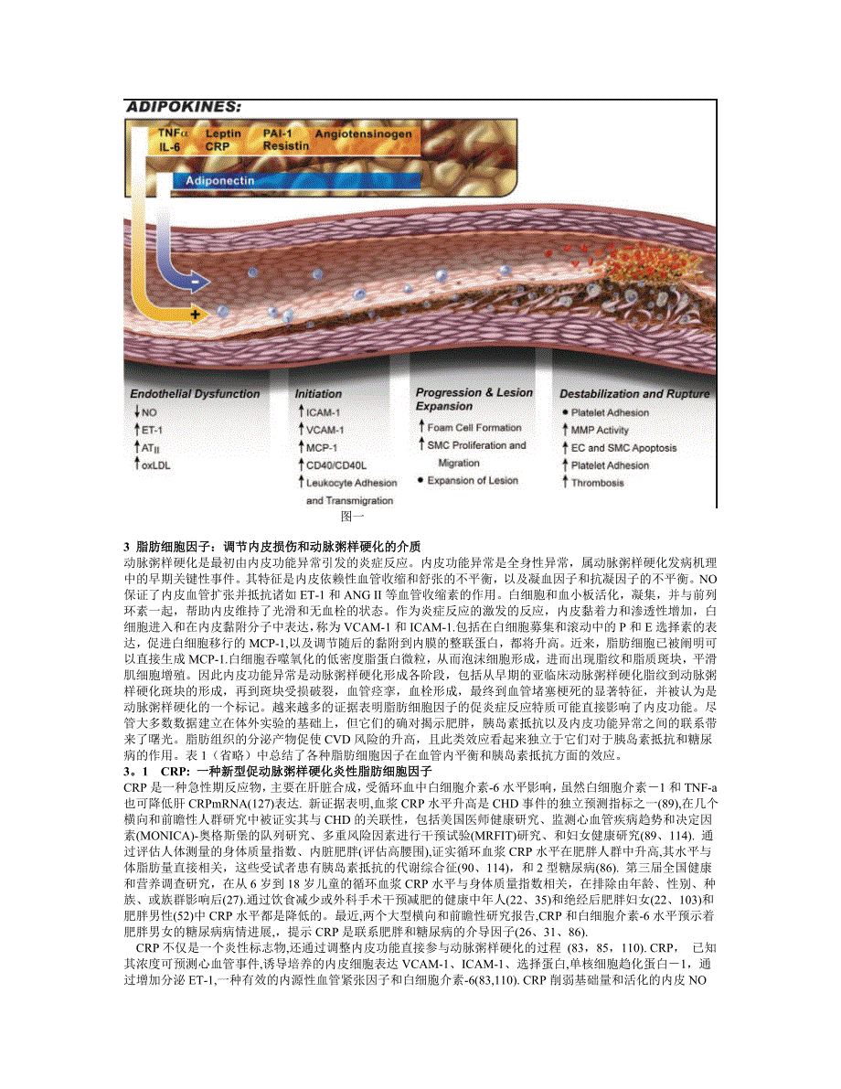 脂肪细胞因子_第2页