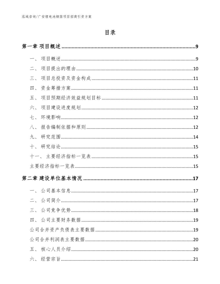 广安锂电池铜箔项目招商引资方案范文模板_第2页