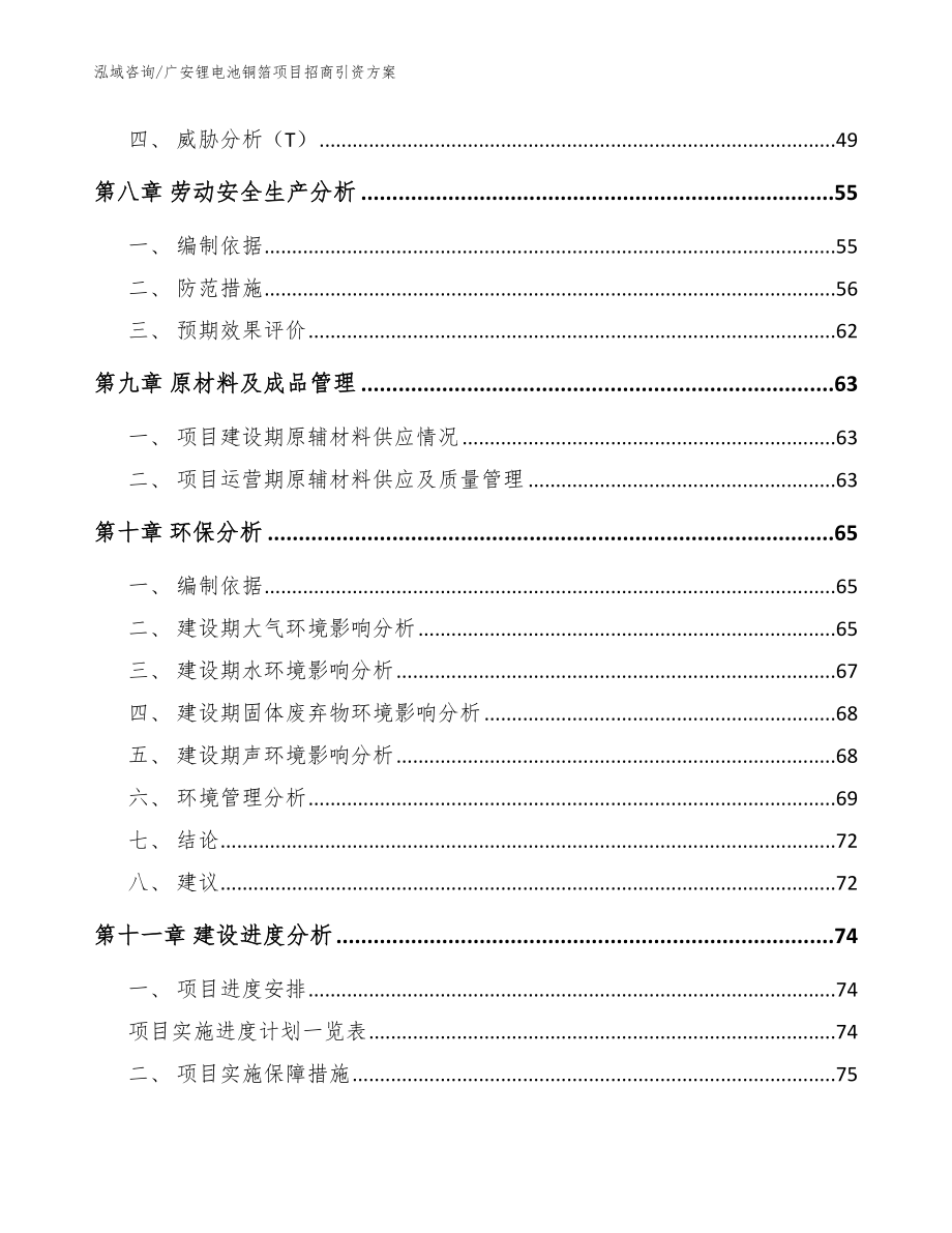 广安锂电池铜箔项目招商引资方案范文模板_第4页