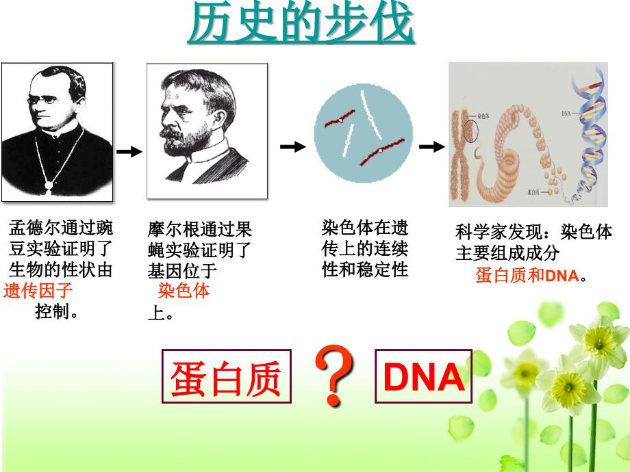 人教版必修二第三章第一节DNA是主要的遗传物质共34张PPT_第2页