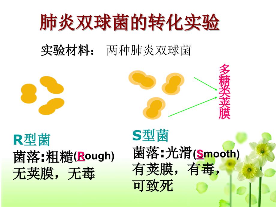 人教版必修二第三章第一节DNA是主要的遗传物质共34张PPT_第4页