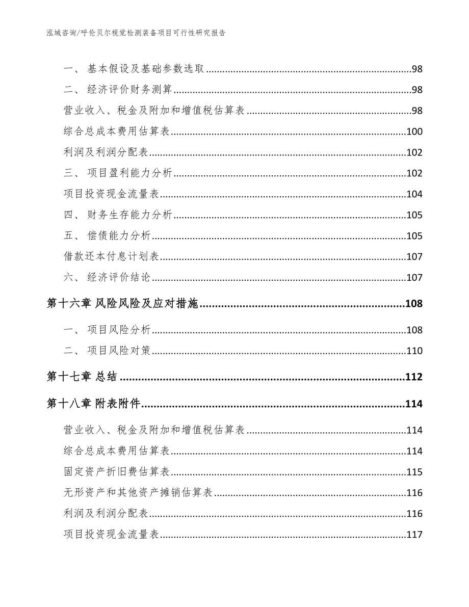 呼伦贝尔视觉检测装备项目可行性研究报告【范文模板】_第5页