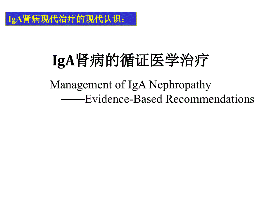 IgA肾病的循证医学治疗讲解_第1页