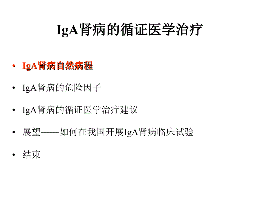 IgA肾病的循证医学治疗讲解_第4页