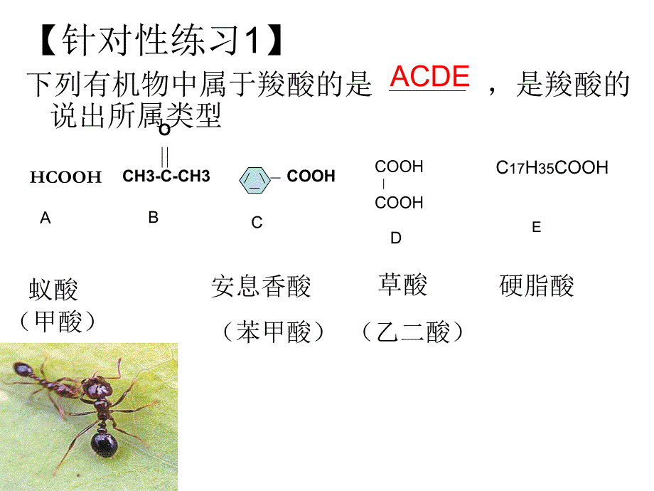 市优质课羧酸酯PPT课件_第3页