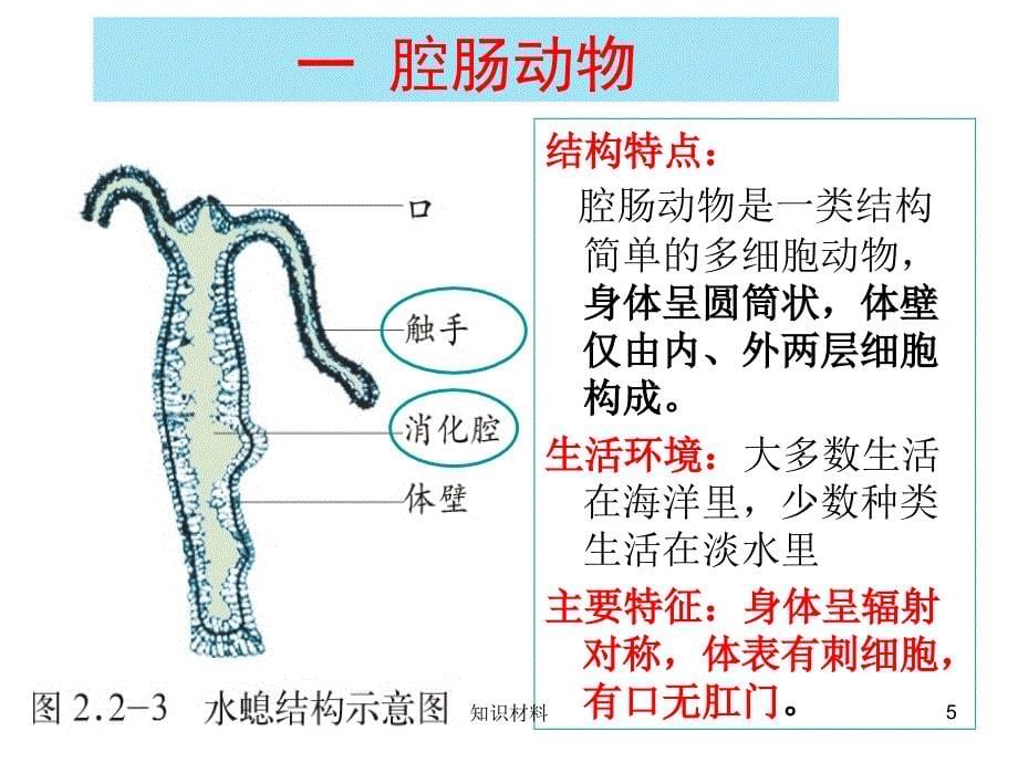 无脊椎动物总结【稻谷书屋】_第5页