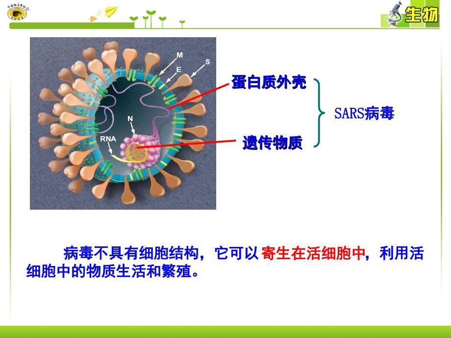 1.1从生物圈到细胞PowerPoint演示文稿_第3页