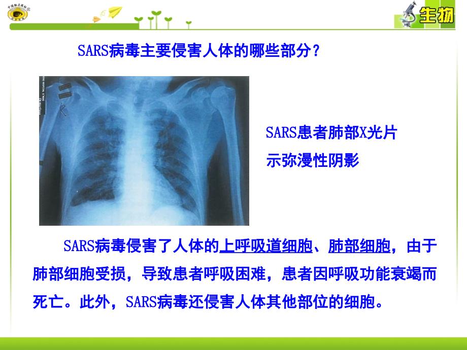 1.1从生物圈到细胞PowerPoint演示文稿_第4页