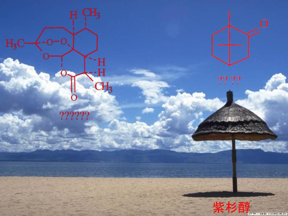 天然产物化学-萜和挥发油new_第4页