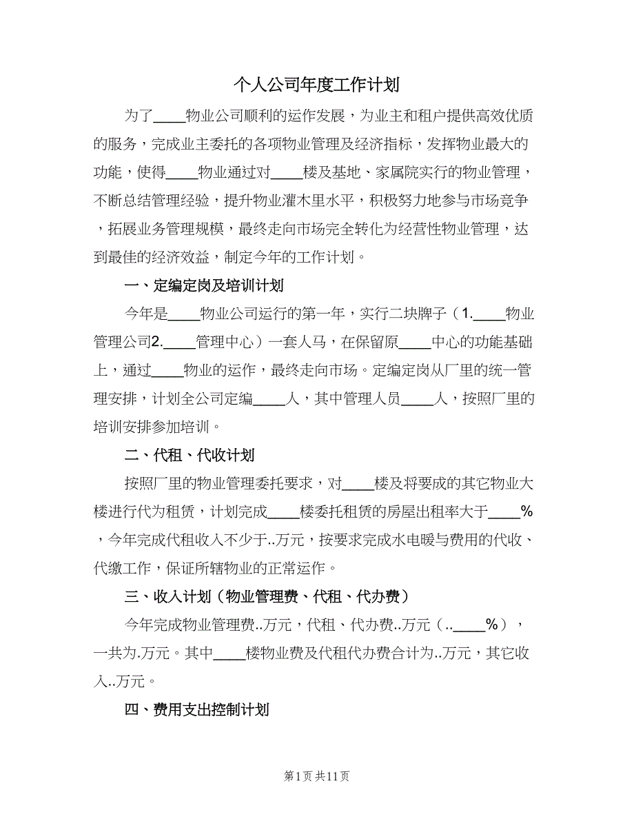 个人公司年度工作计划（二篇）.doc_第1页