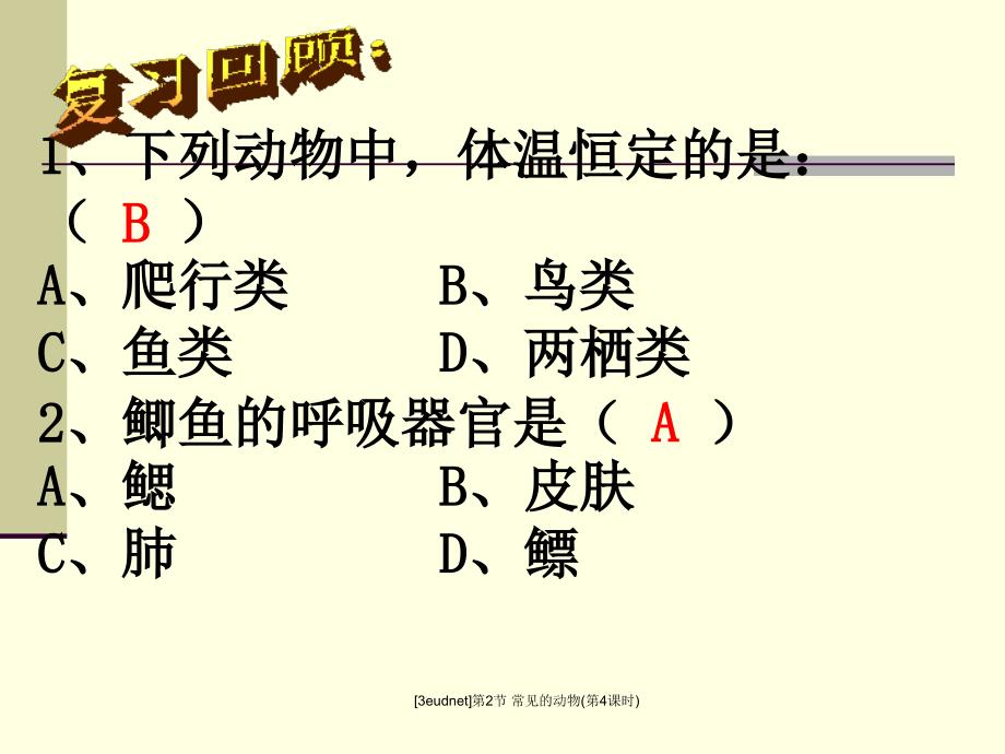 3eudnet第2节常见的动物第4课时课件_第2页