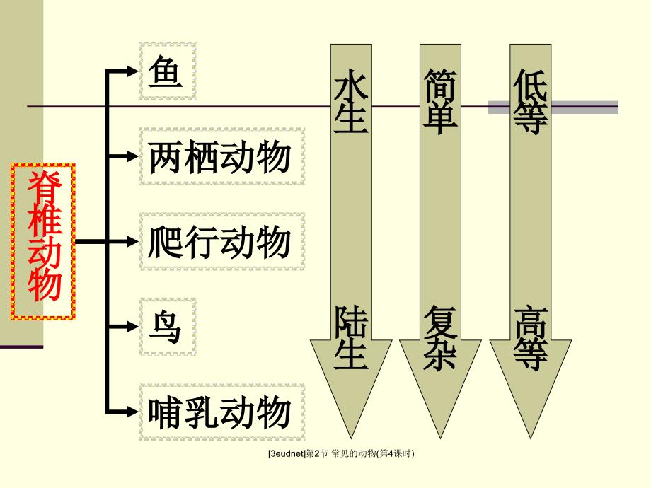 3eudnet第2节常见的动物第4课时课件_第4页