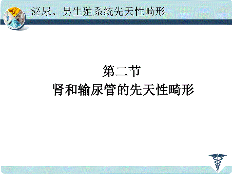 泌尿男性生殖系统先天性畸形_第4页