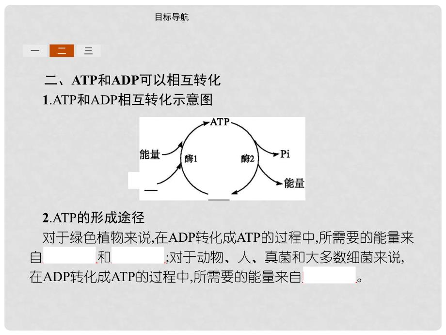 高中生物 第五章 细胞的能量供应和利用 5.2 细胞的能量“通货”——ATP课件 新人教版必修1_第4页