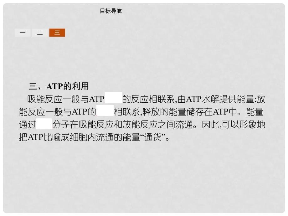 高中生物 第五章 细胞的能量供应和利用 5.2 细胞的能量“通货”——ATP课件 新人教版必修1_第5页