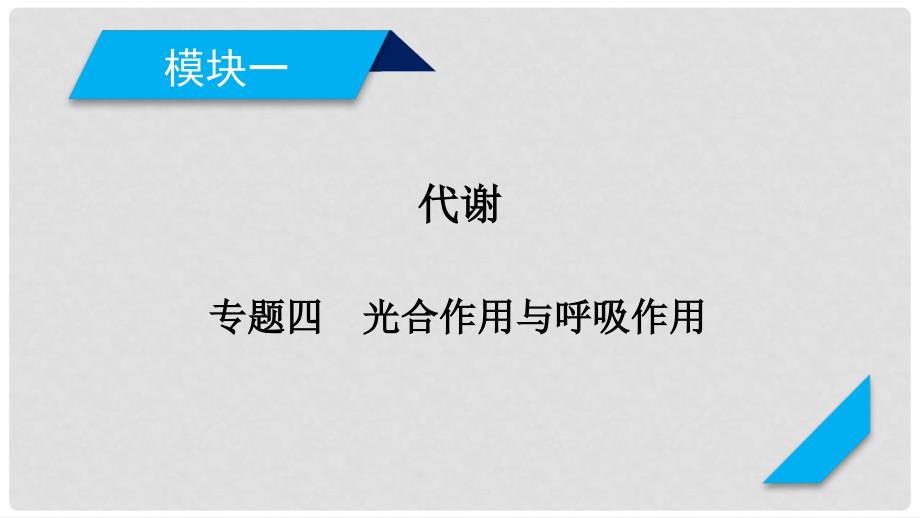 高考生物大二轮复习 专题四 光合作用与呼吸作用复习指导课件_第2页