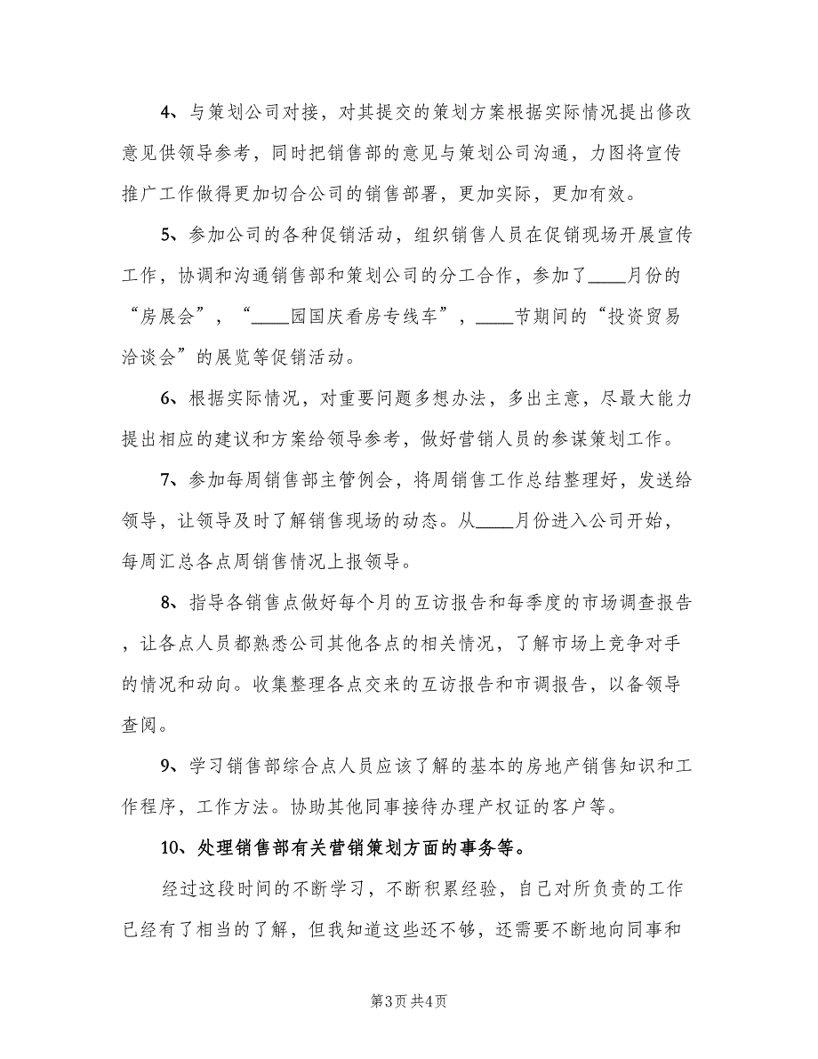 销售员试用期工作总结范文2023年（二篇）.doc_第3页