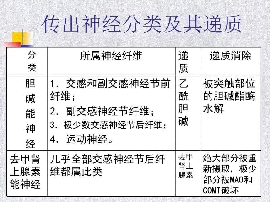 传出神经系统课件_第5页